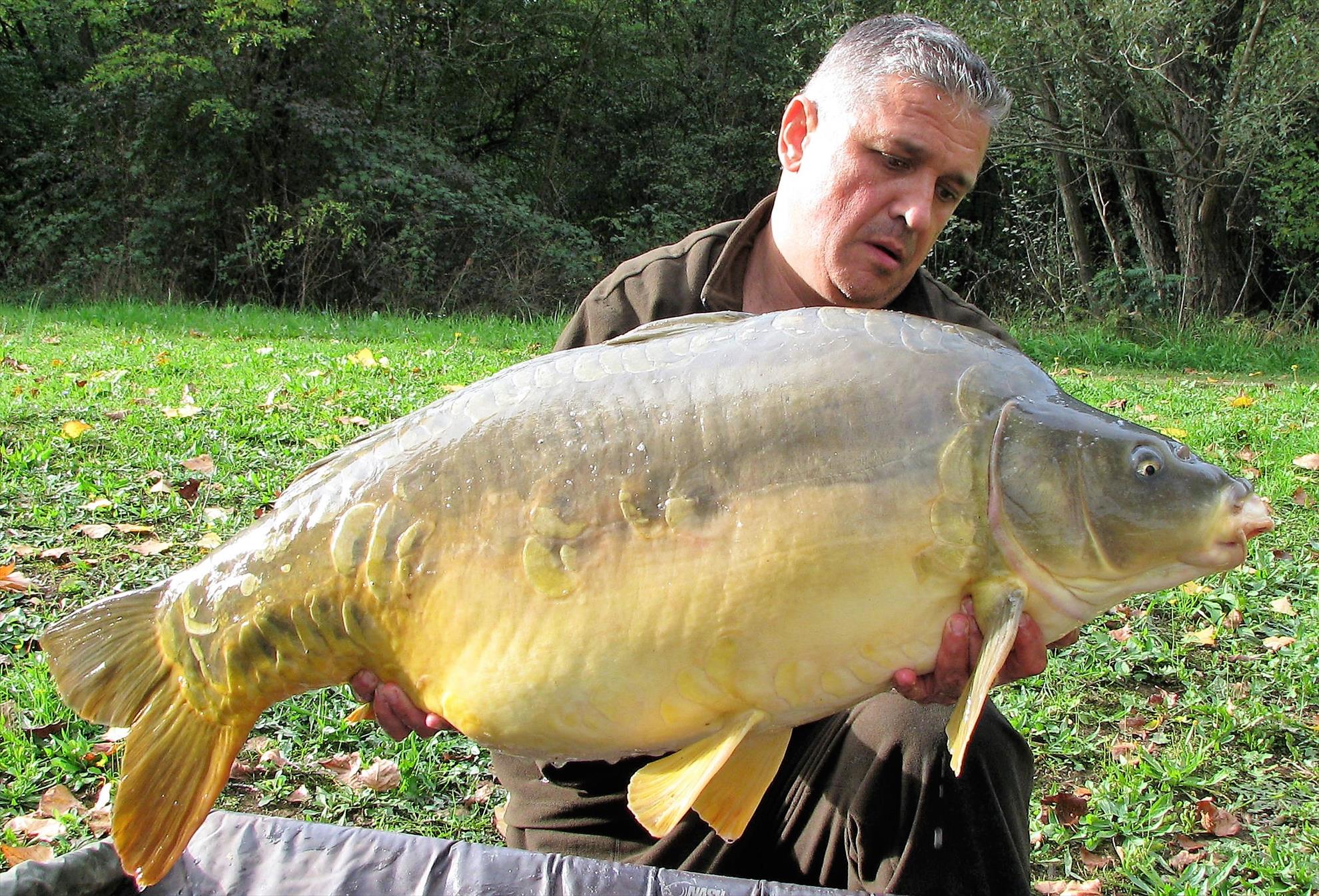 Pelagicevo 8 - 15 octombrie 2017 - img51.jpg